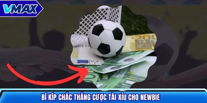 Bí kíp chắc thắng cược tài xỉu cho newbie