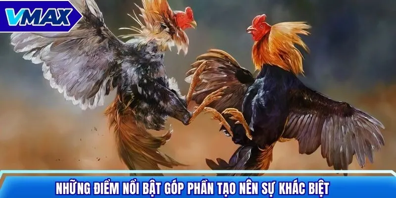Những điểm nổi bật góp phần tạo nên sự khác biệt