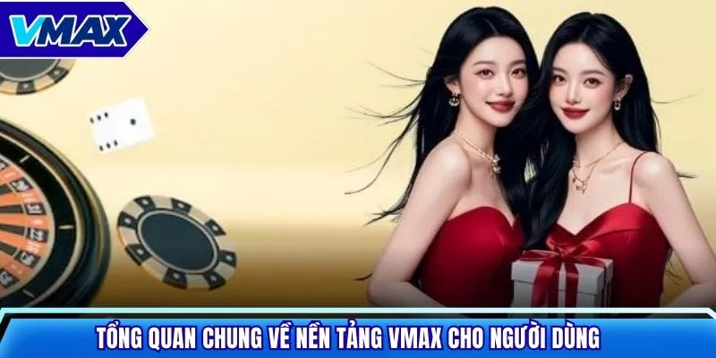Tổng quan chung về nền tảng Vmax cho người dùng